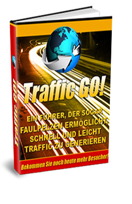 Ebook Traffic Go